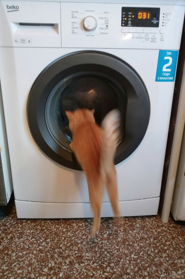 Машинка автомат прикол