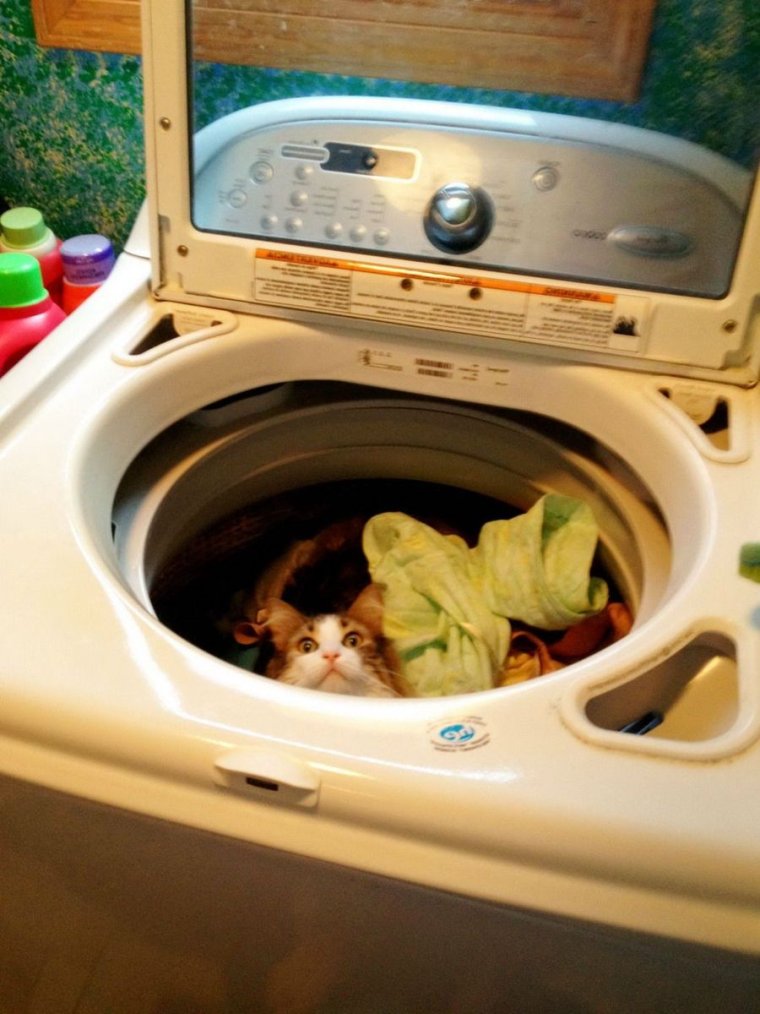 Смешная стиральная машинка