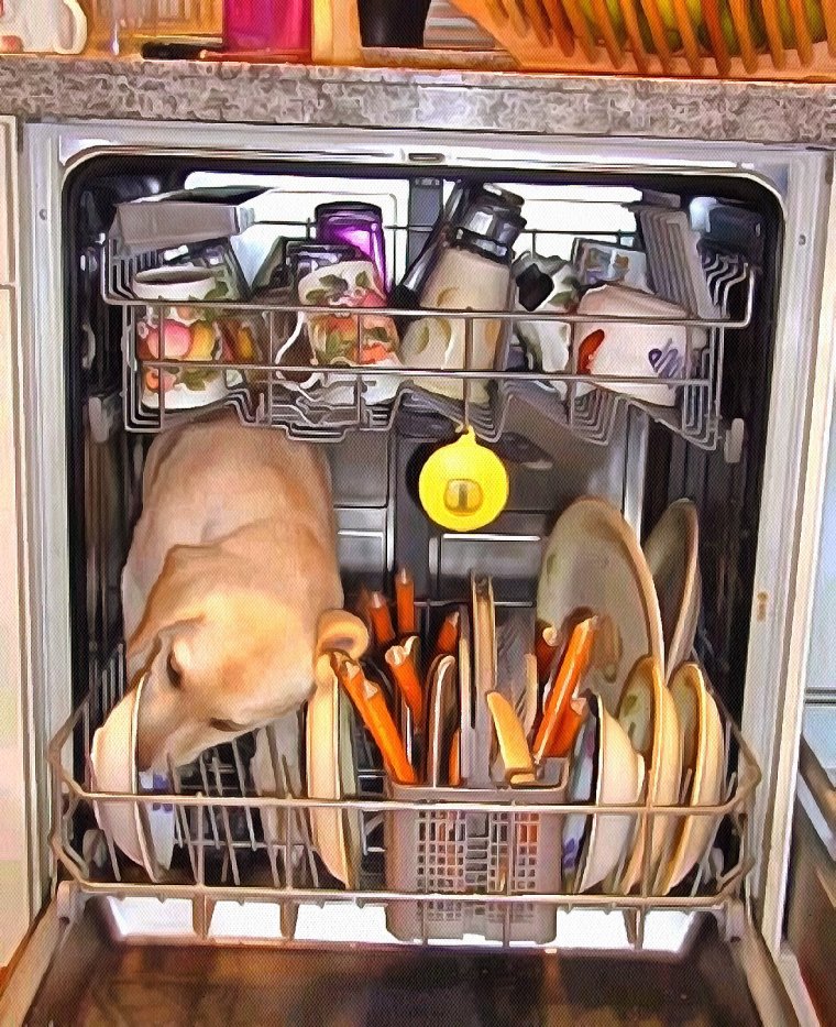 Посудомоечная машина прикол