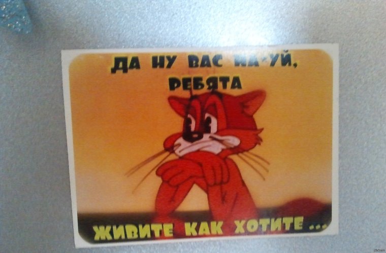 Ребята живите как хотите