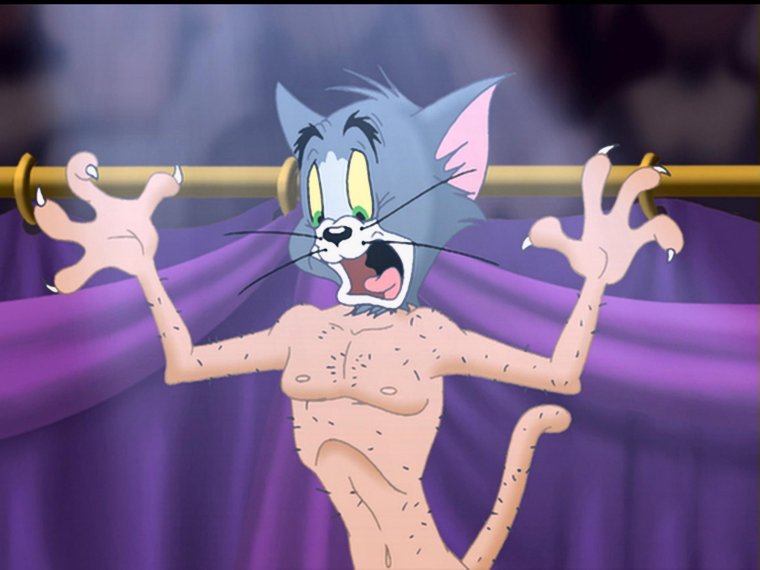 Месть кота Леопольда 1975