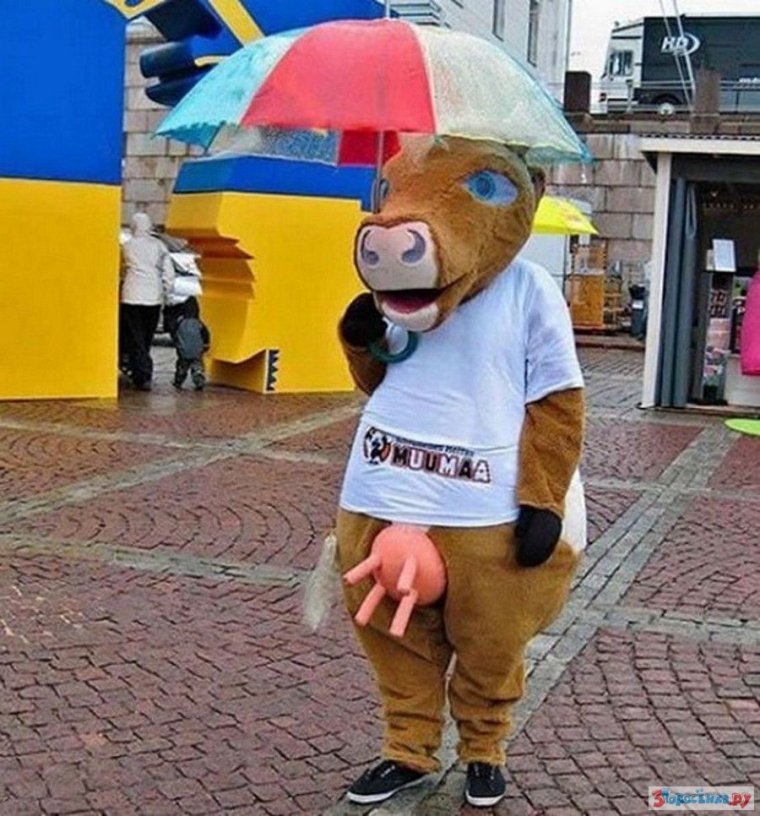 Смешные костюмы для женщин