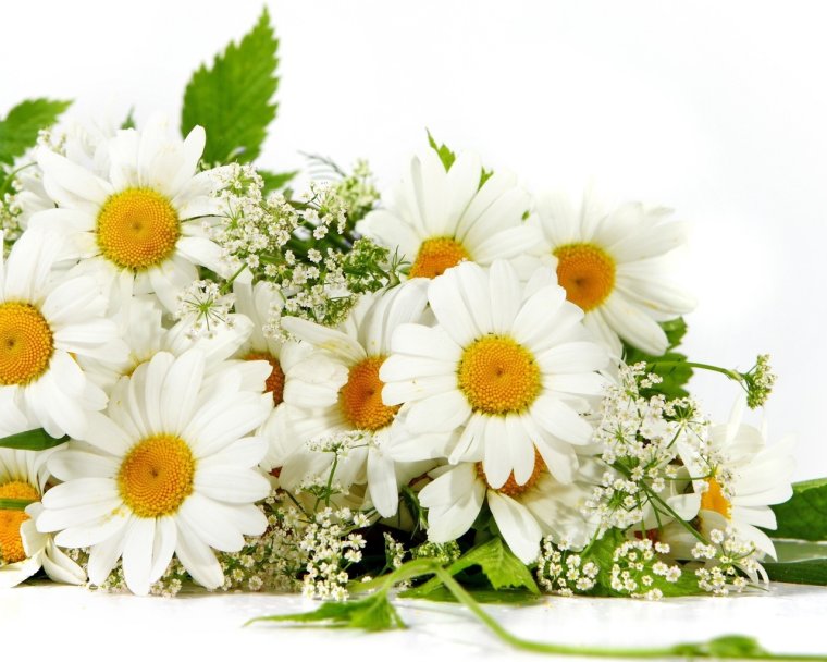 С днем рождения