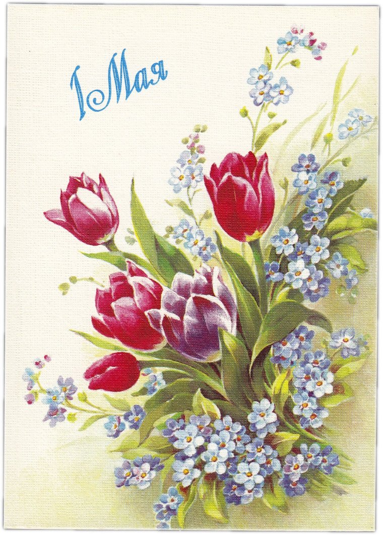 Праздничные открытки