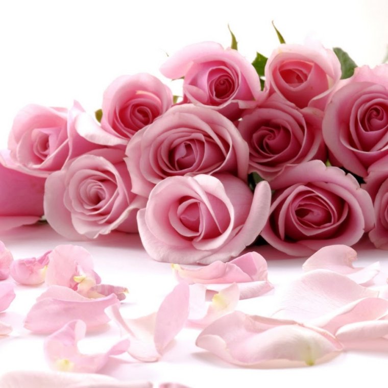 Систрик с днем рождения