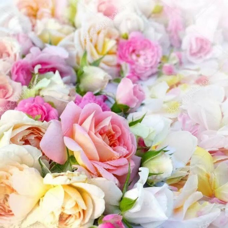 С днём рождения сестрёнка цветы