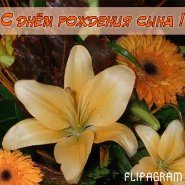 Поздравления с днём рождения сына