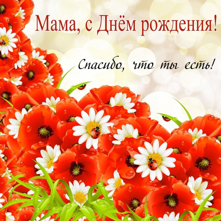 Поздравление с днём рождения с маками