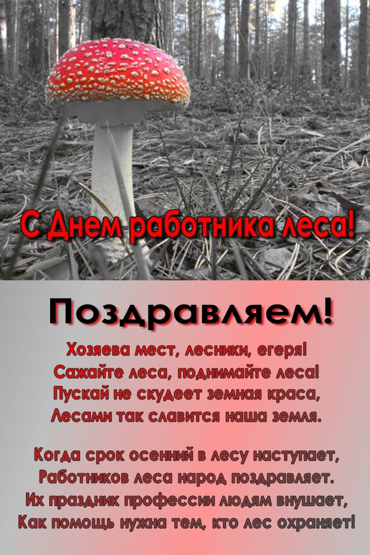 Поздравление с днем работника Лесной промышленности