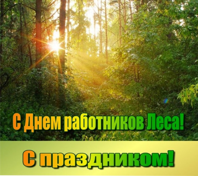 18 Сентября день работников леса
