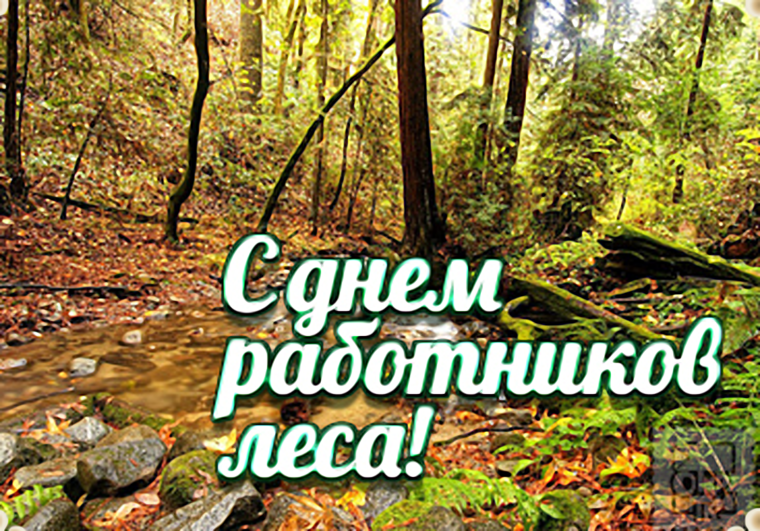 19 Сентября день работников леса