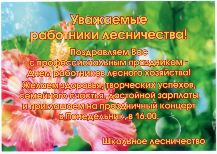 День работников леса 2018