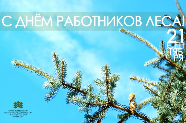 С днем работников леса и лесоперерабатывающей