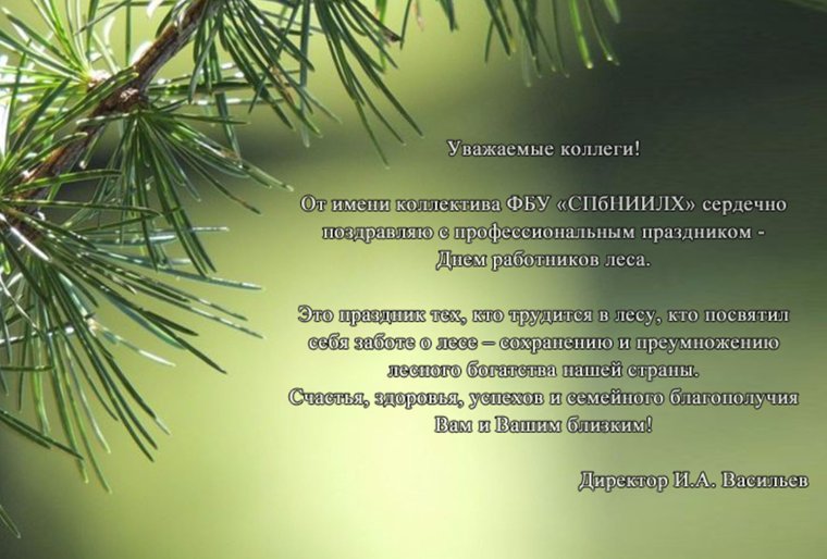 Поздравление с днем работника леса