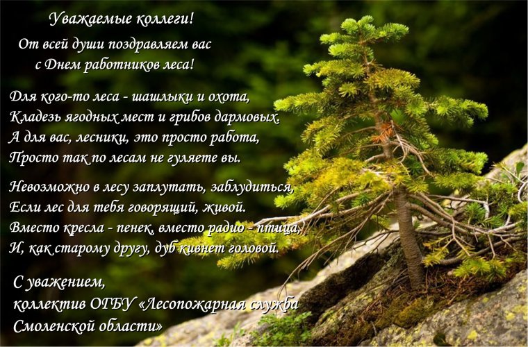 День лесного работника 2020