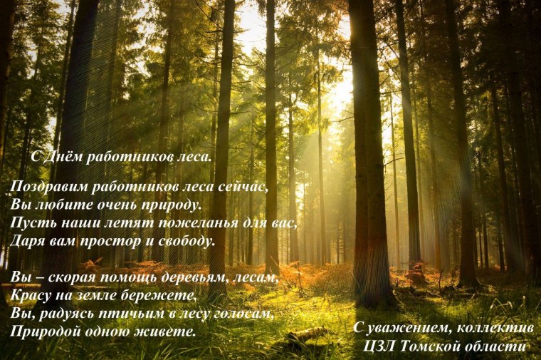 С днем работника леса