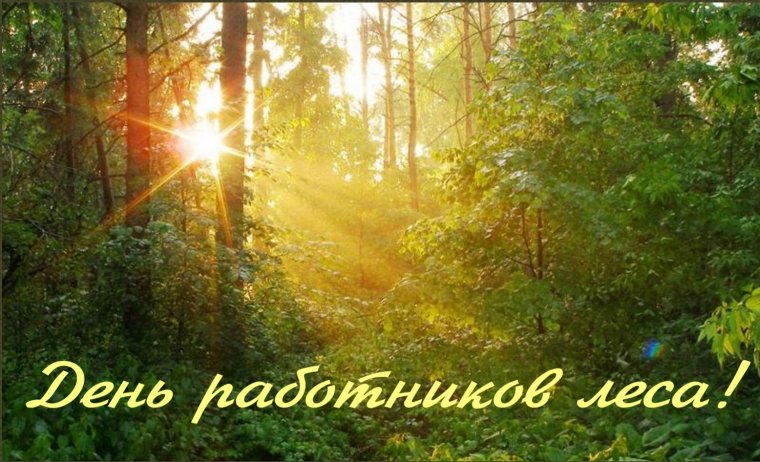 День работника леса Эжва