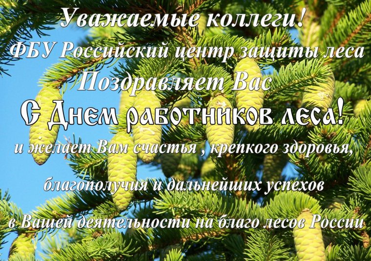 Поздравление с днем работника леса