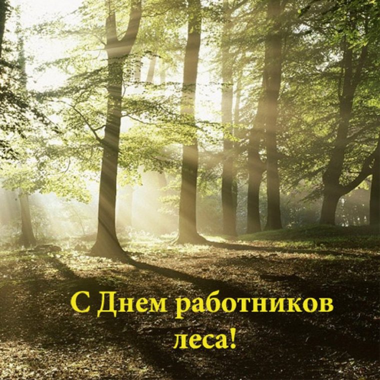 День работников леса 2020