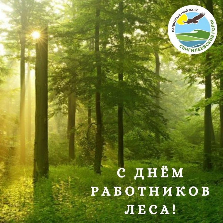 Приглашение на день леса