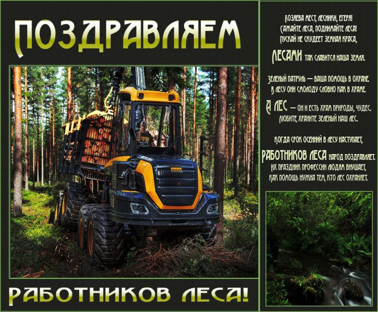 Поздравление с днем работника леса