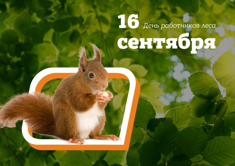 С днем работника леса