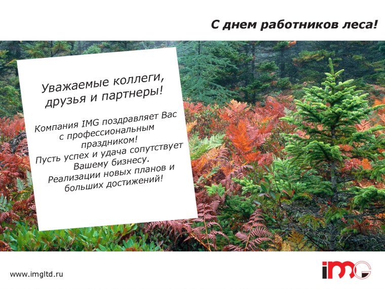 Лесная промышленность Удомли