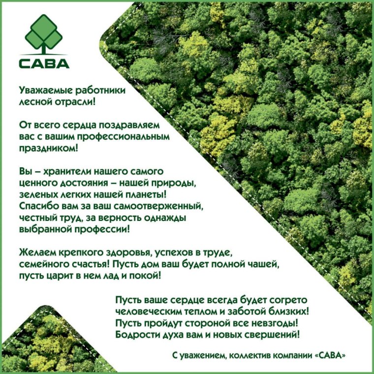 20 Сентября день работников леса