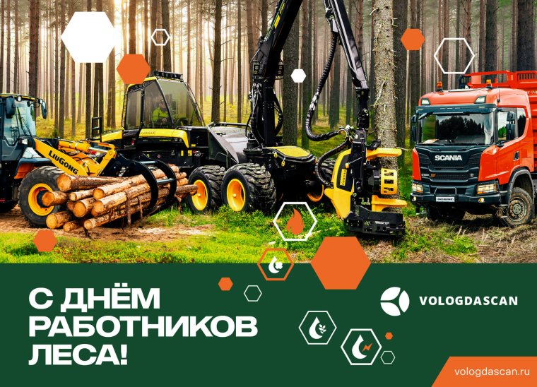 С днем работника леса поздравления с картинками