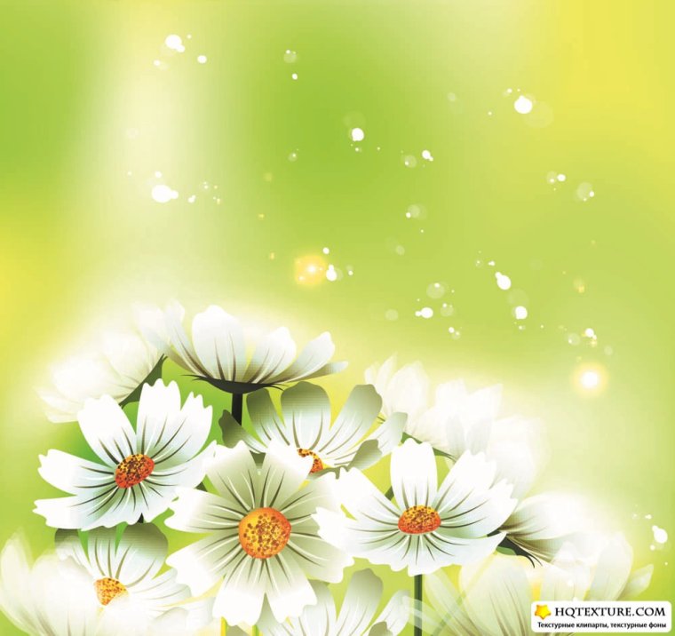 День рождения мамы