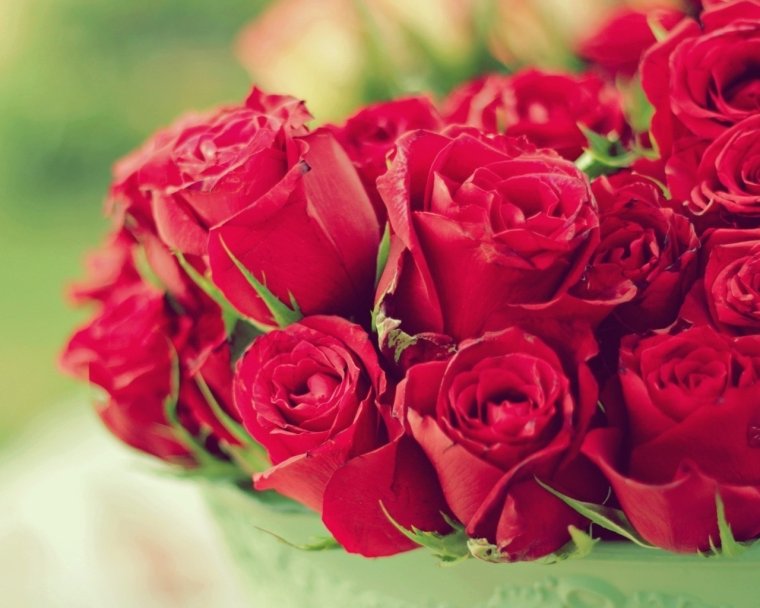 День рождения мамы