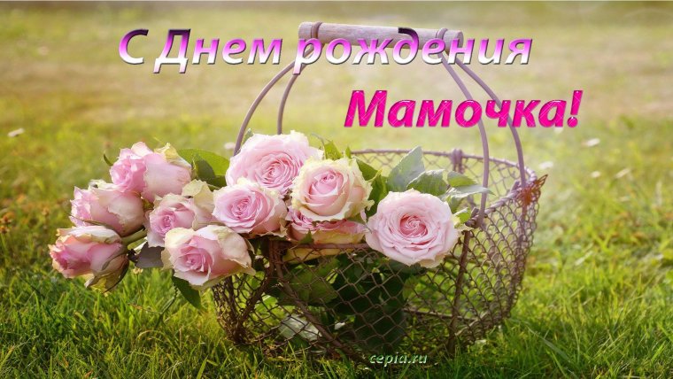 День рождения мамы