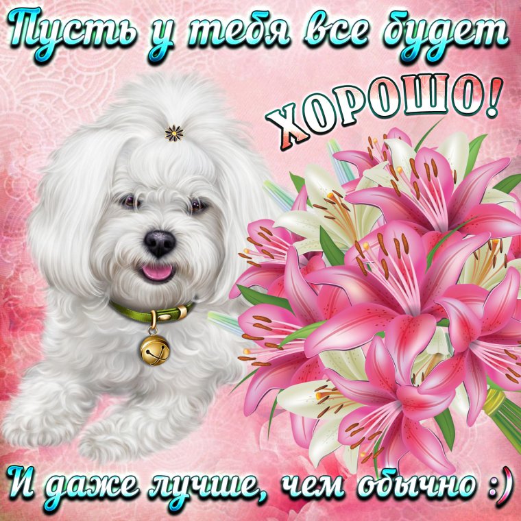 Открытки с пожеланиями