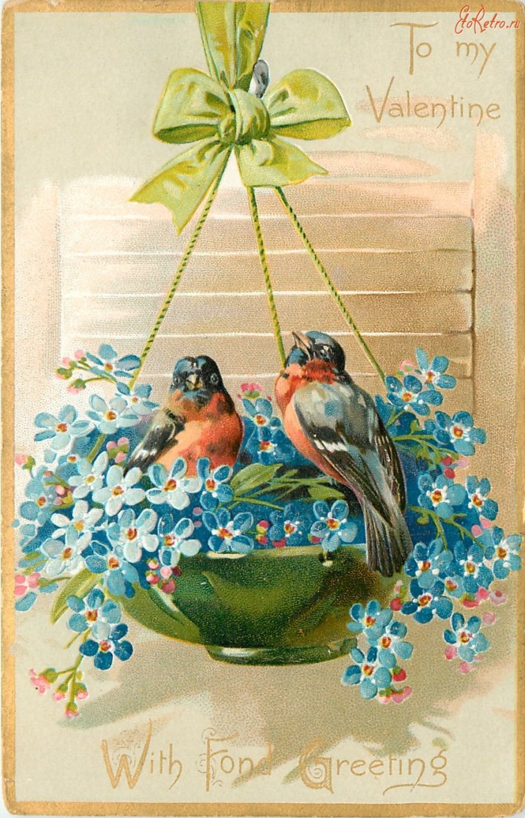 Розы с пожеланием доброго утра и дня