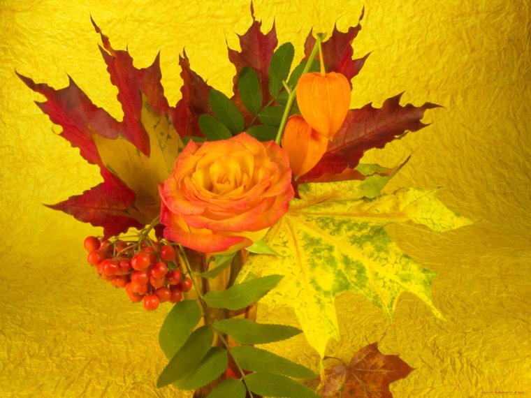 Поздравление с днем пожилого человека