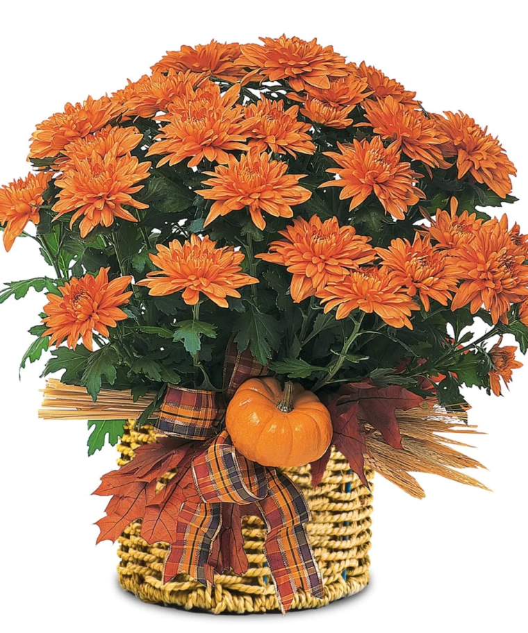 С днём рождения осенний букет