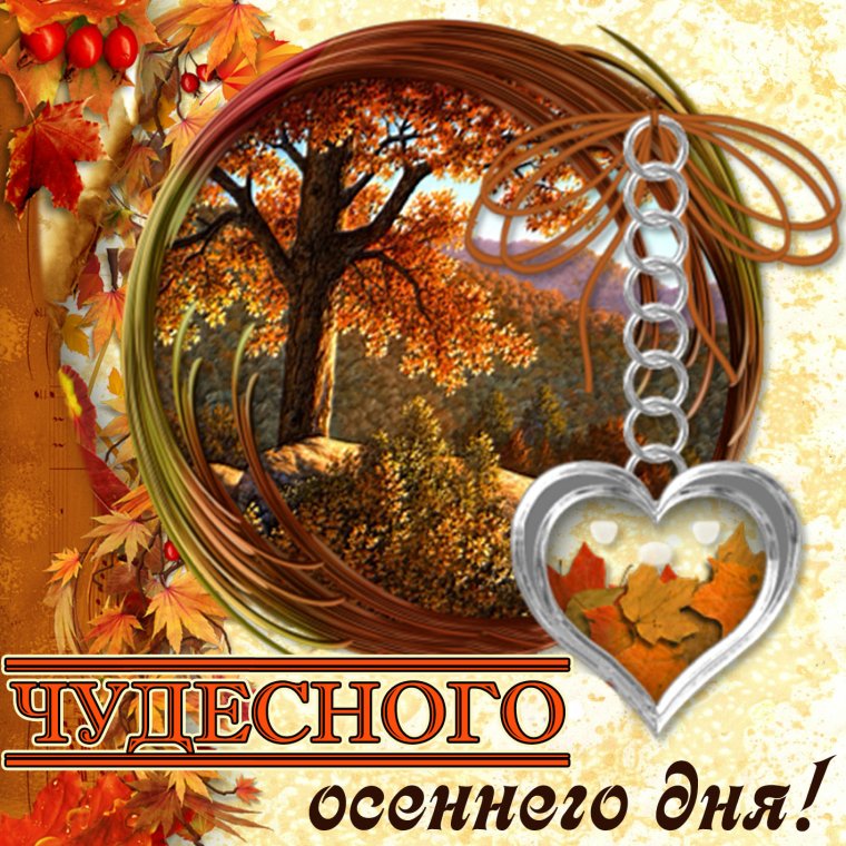 Чудесного о сеннкго дня