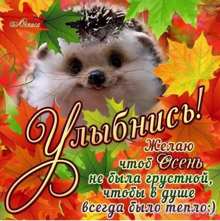 Осенние пожелания
