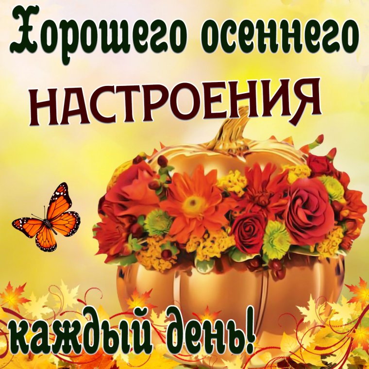 Хорошего осеннего настроения