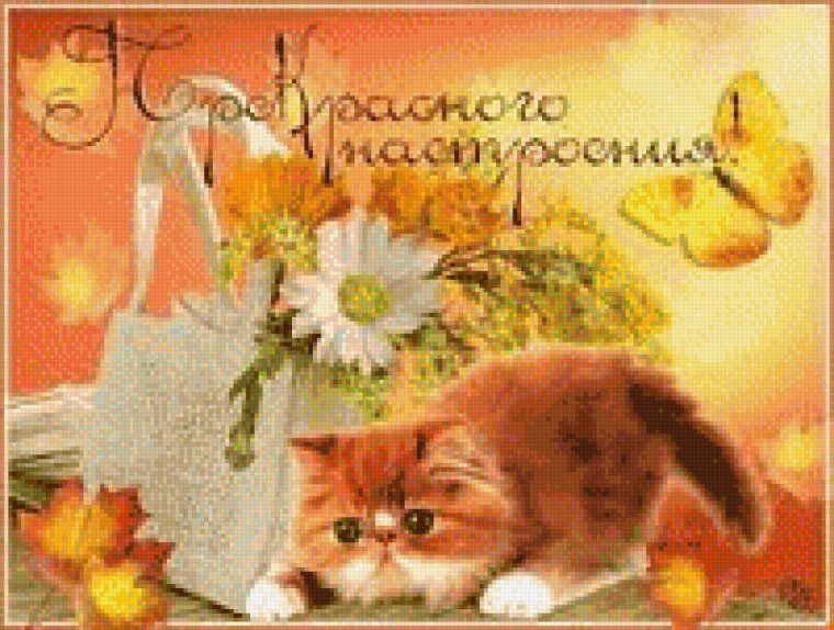 Открытки с котиками хорошего настроения