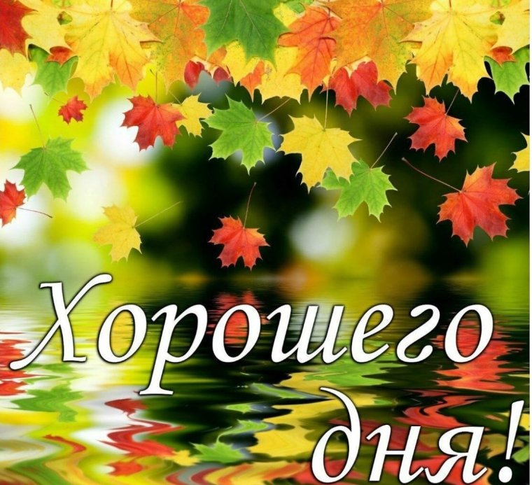 Добрый день октября
