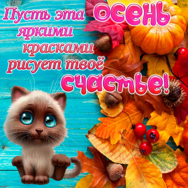 Красивые осенние пожелания