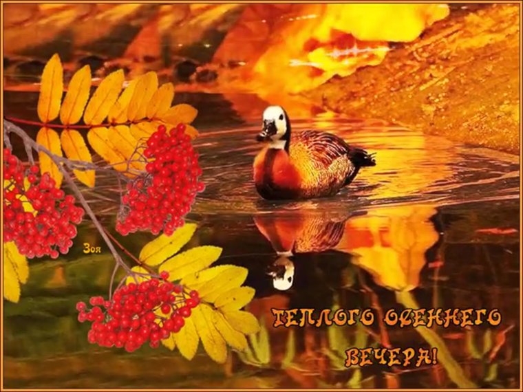 Теплого осеннего вечера