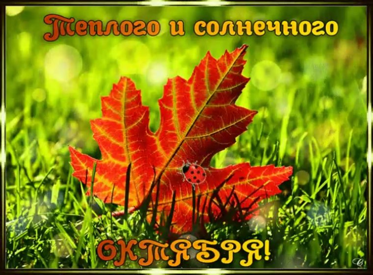 Теплого солнечного осеннего дня