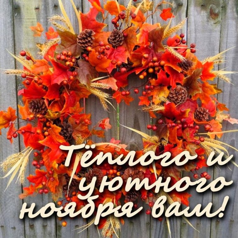 С добрым осенним ноябрьским утром