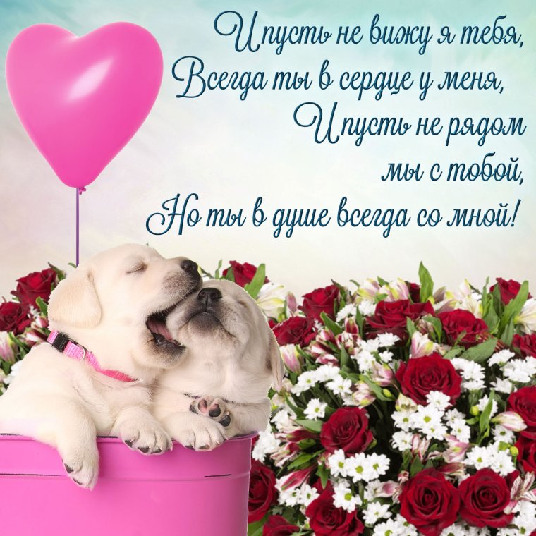 Пожелания любимому