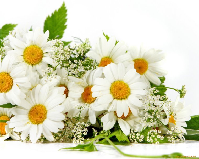 С днём рождения сестра