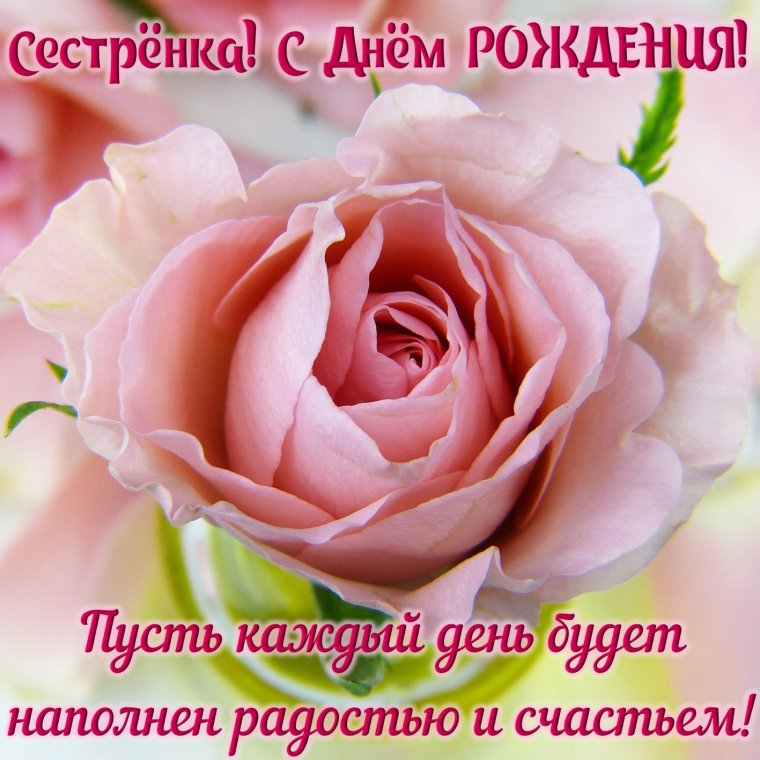 С днём рождения сестричка поздравления
