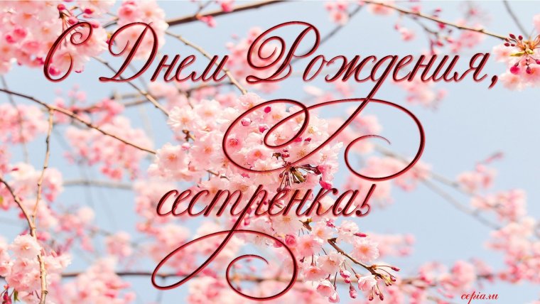 Красивые розы в подарок