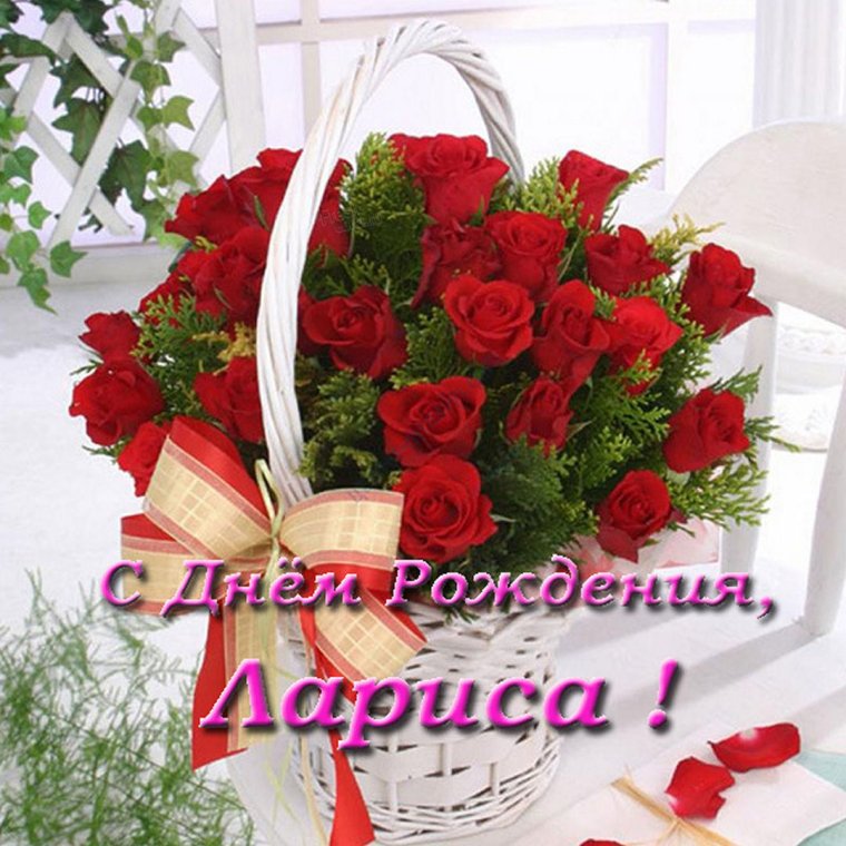 С днём рождения Анастасия